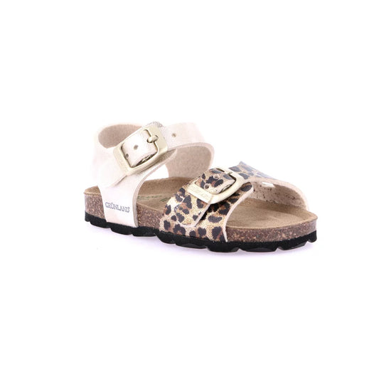 gid://shopify/Product/15754819338572_1