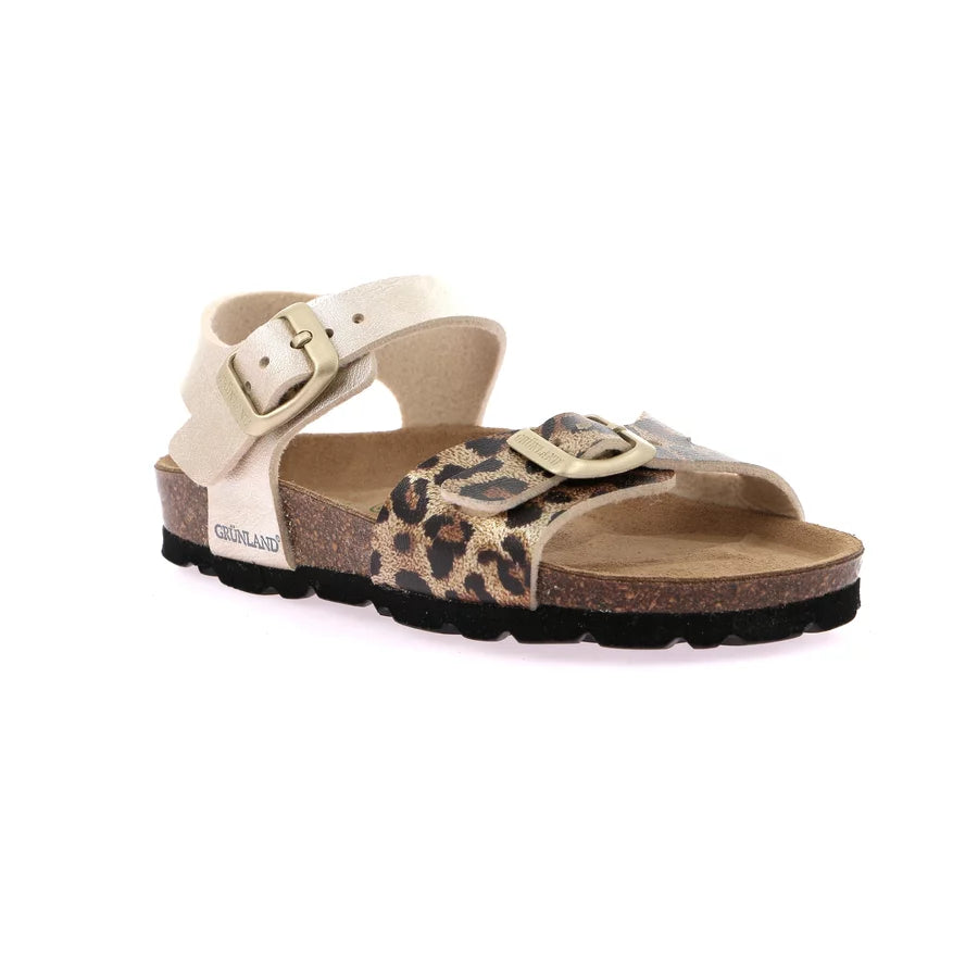 gid://shopify/Product/15713123467596_57342735712588
