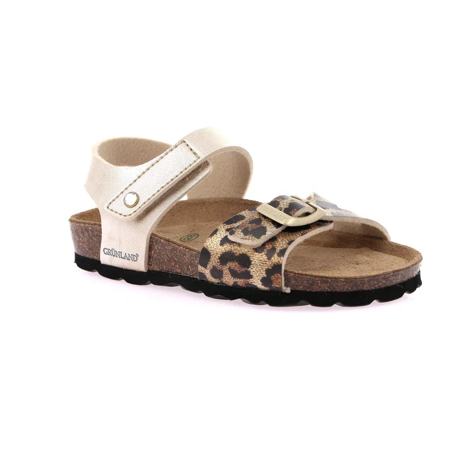 gid://shopify/Product/15713127432524_1