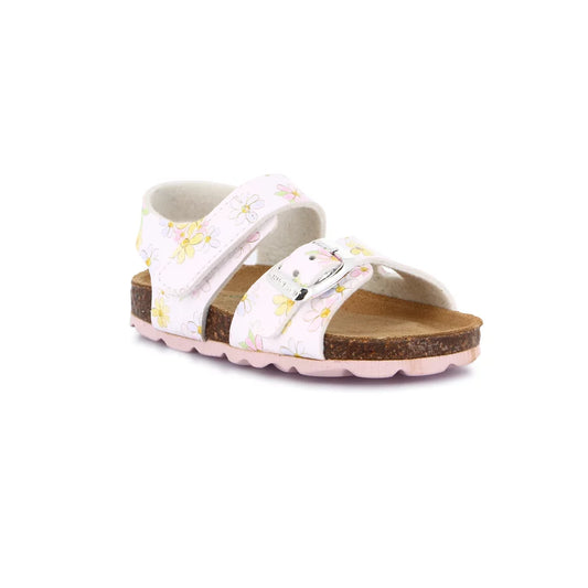 gid://shopify/Product/15713141326156_1