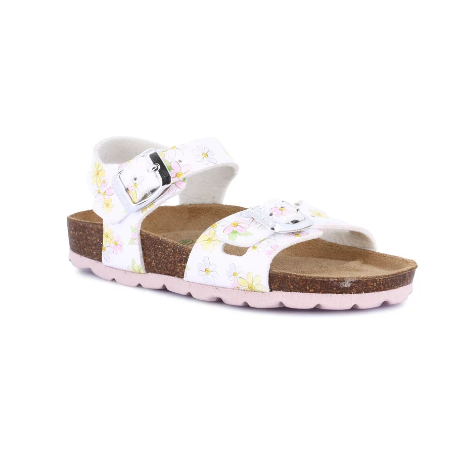 gid://shopify/Product/15713171800396_57342927208780