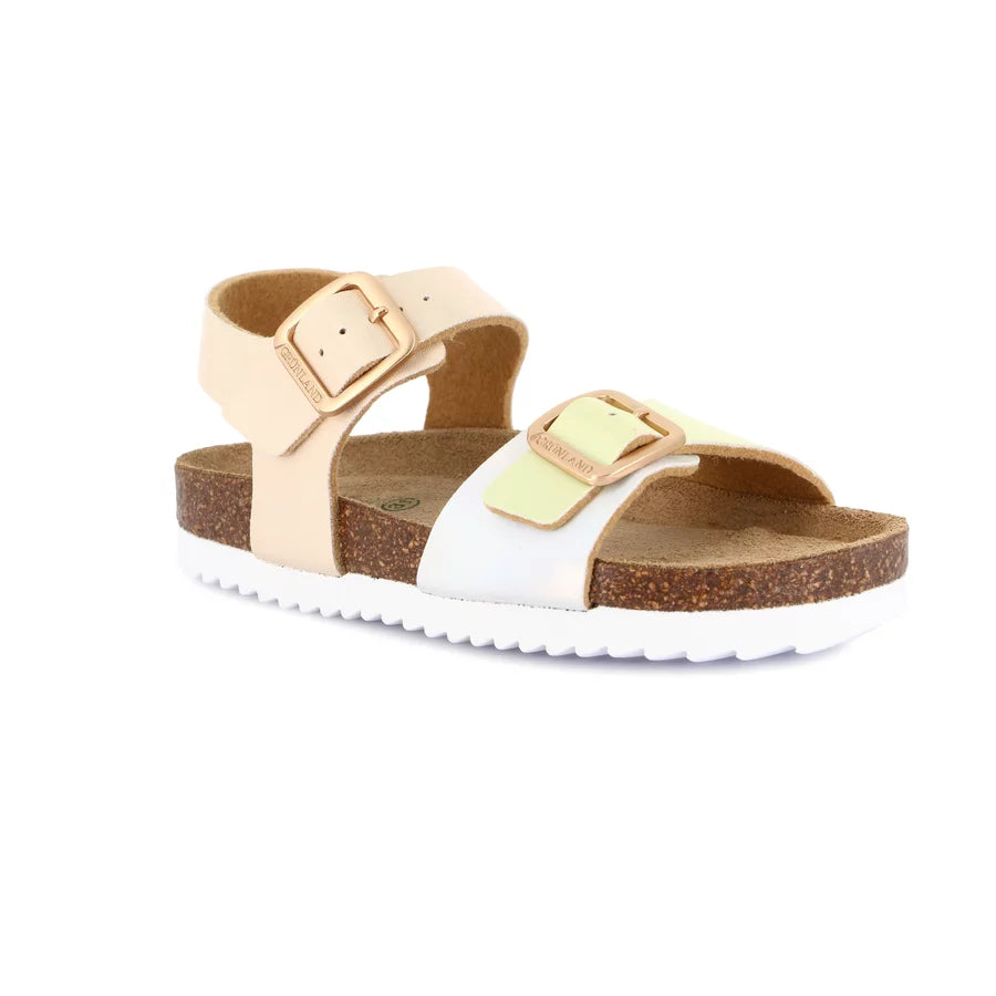 gid://shopify/Product/15713249722700_1