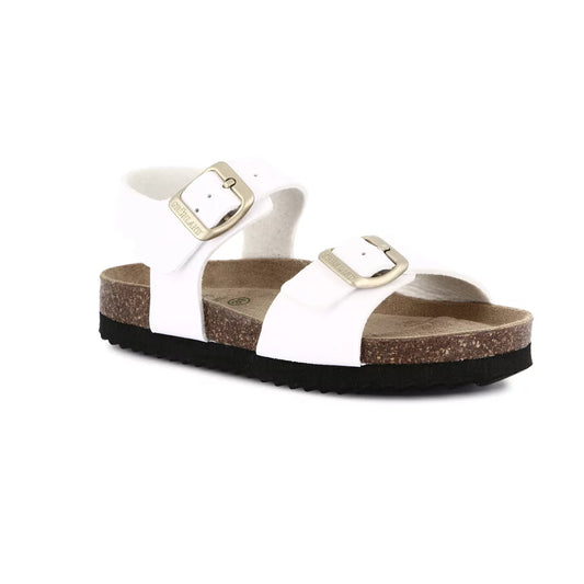 gid://shopify/Product/15713254932812_1