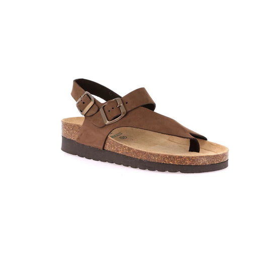 gid://shopify/Product/15752464400716_1