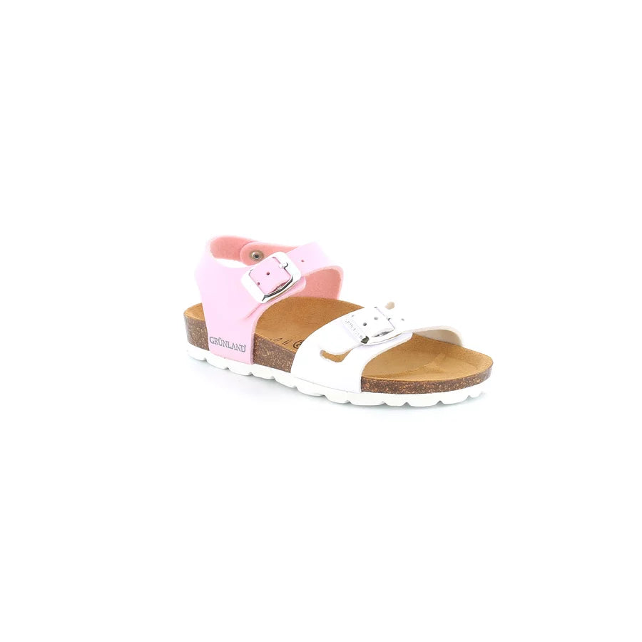 gid://shopify/Product/15753167208780_57516576473420