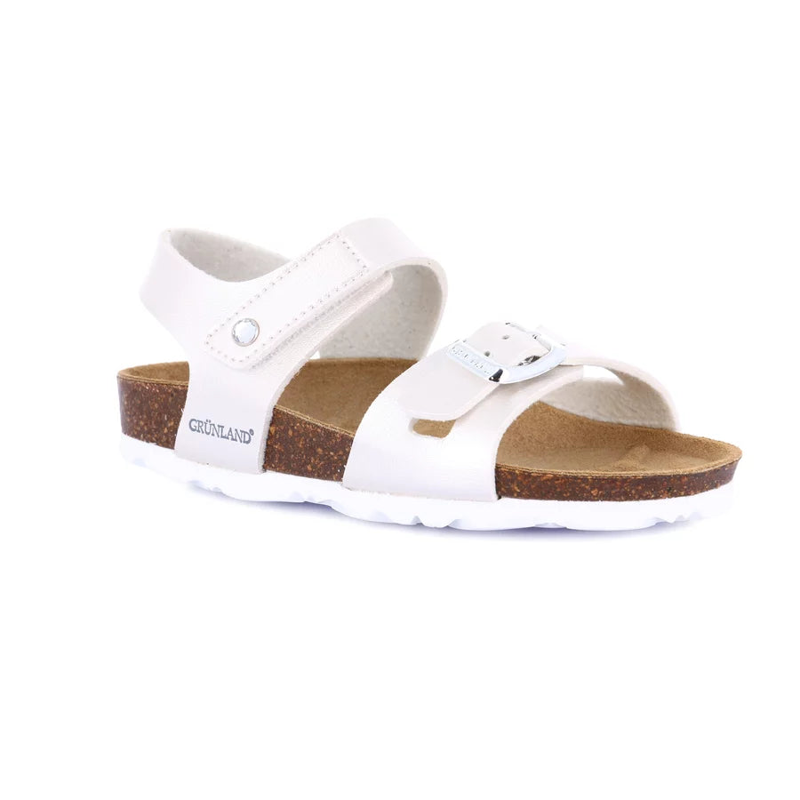 gid://shopify/Product/15753957409100_57518496907596