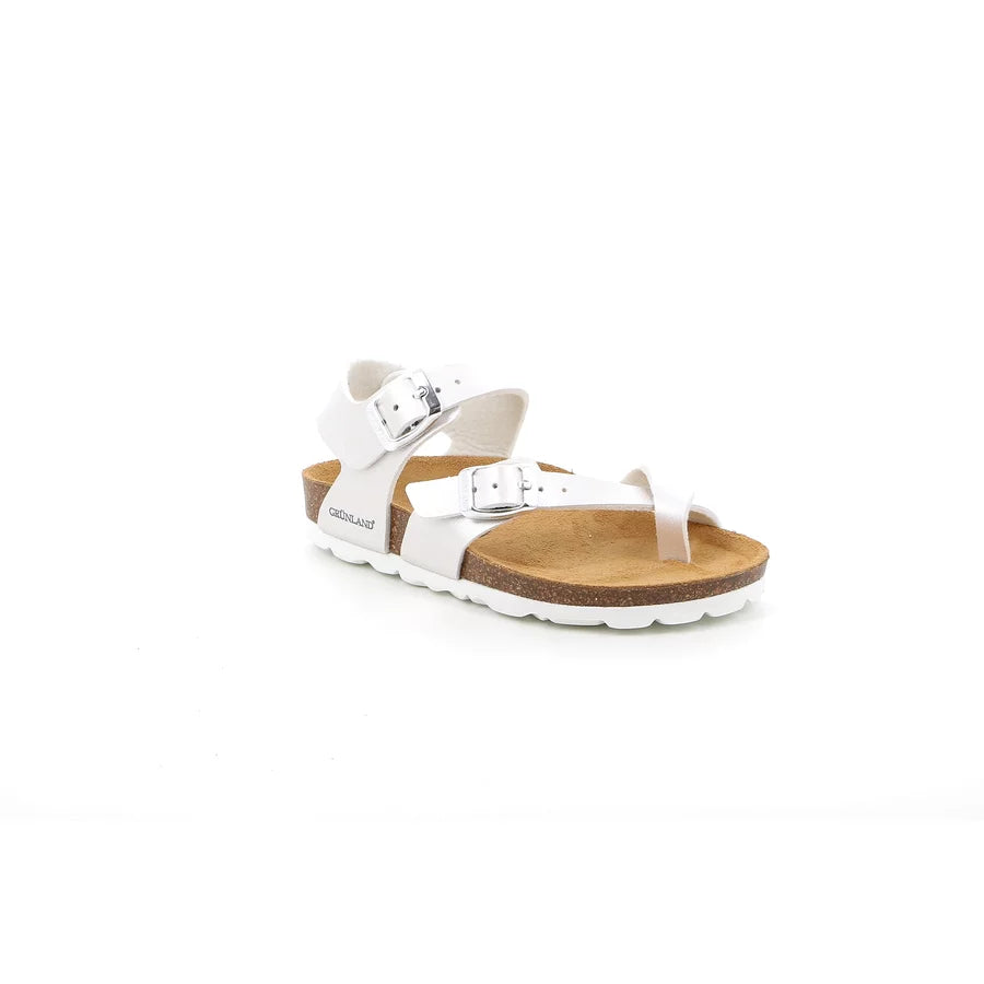 gid://shopify/Product/15753979691340_57518618575180