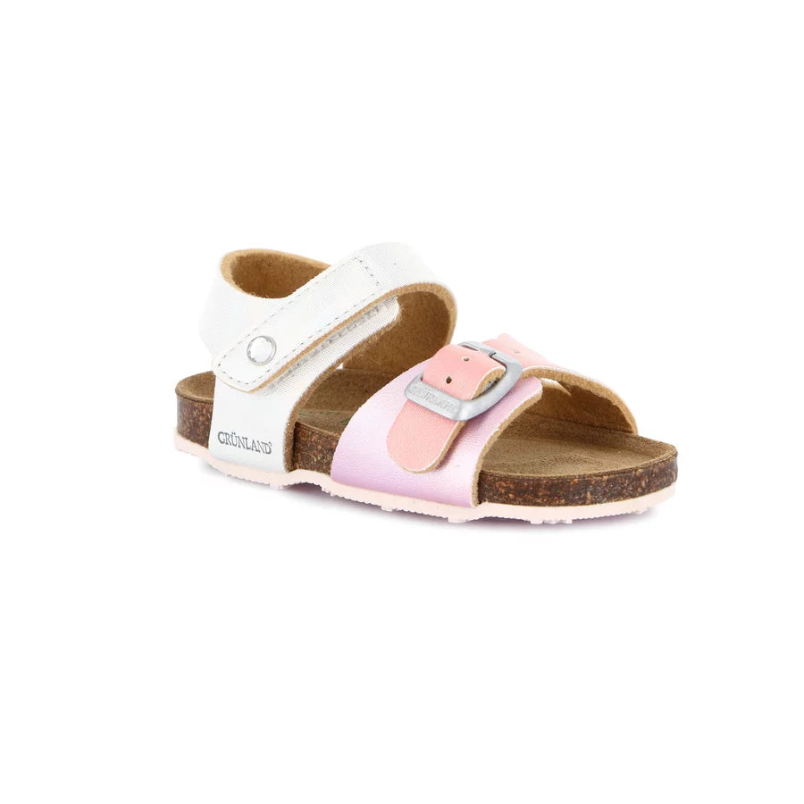 gid://shopify/Product/15713259028812_1