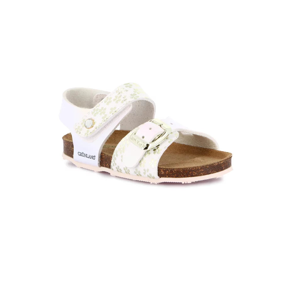 gid://shopify/Product/15713267843404_1