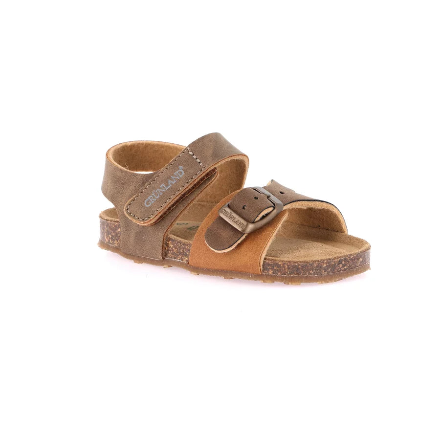 gid://shopify/Product/15713303855436_57343529255244