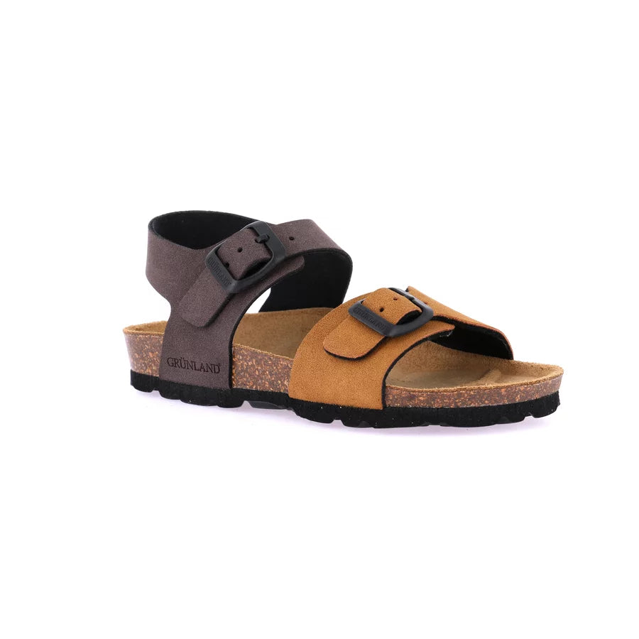 gid://shopify/Product/15712115458380_57339364868428