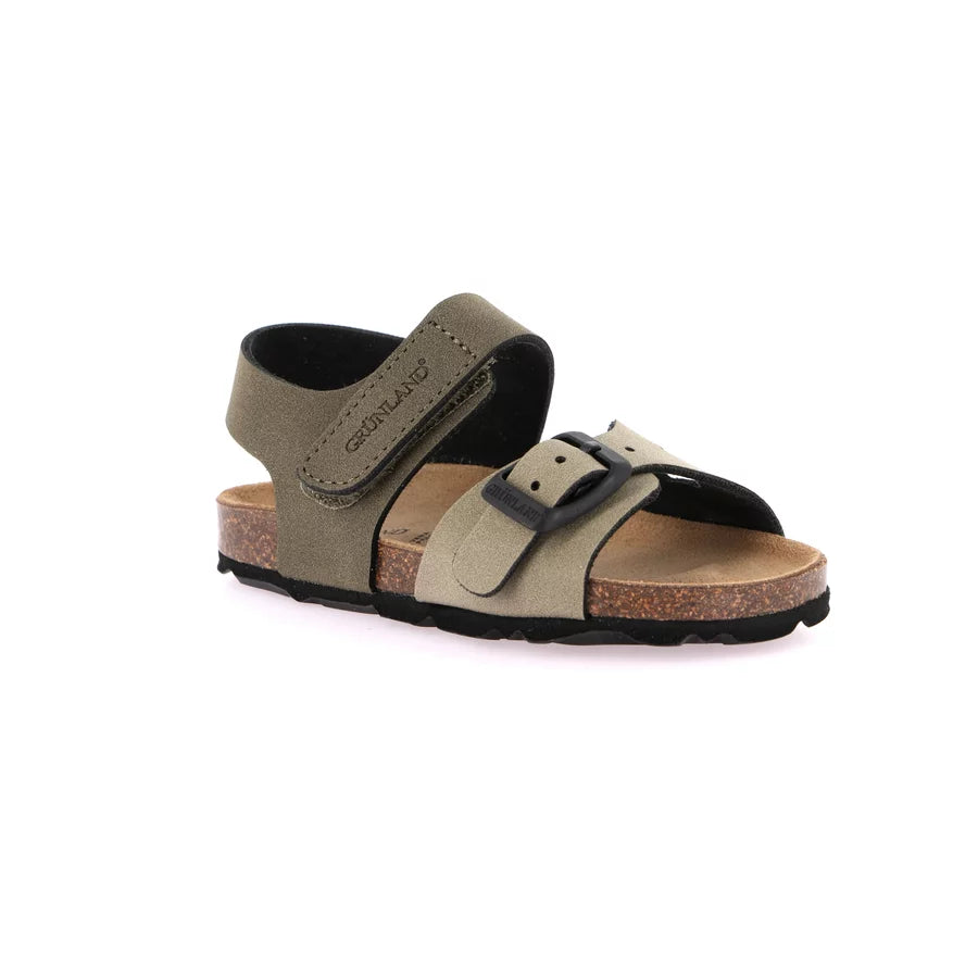 gid://shopify/Product/15754217652556_57519223603532