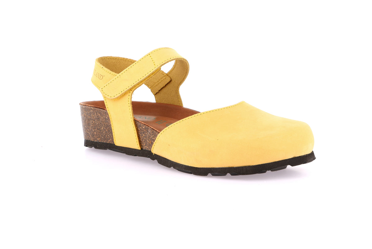 gid://shopify/Product/15754221814092_58817262551372
