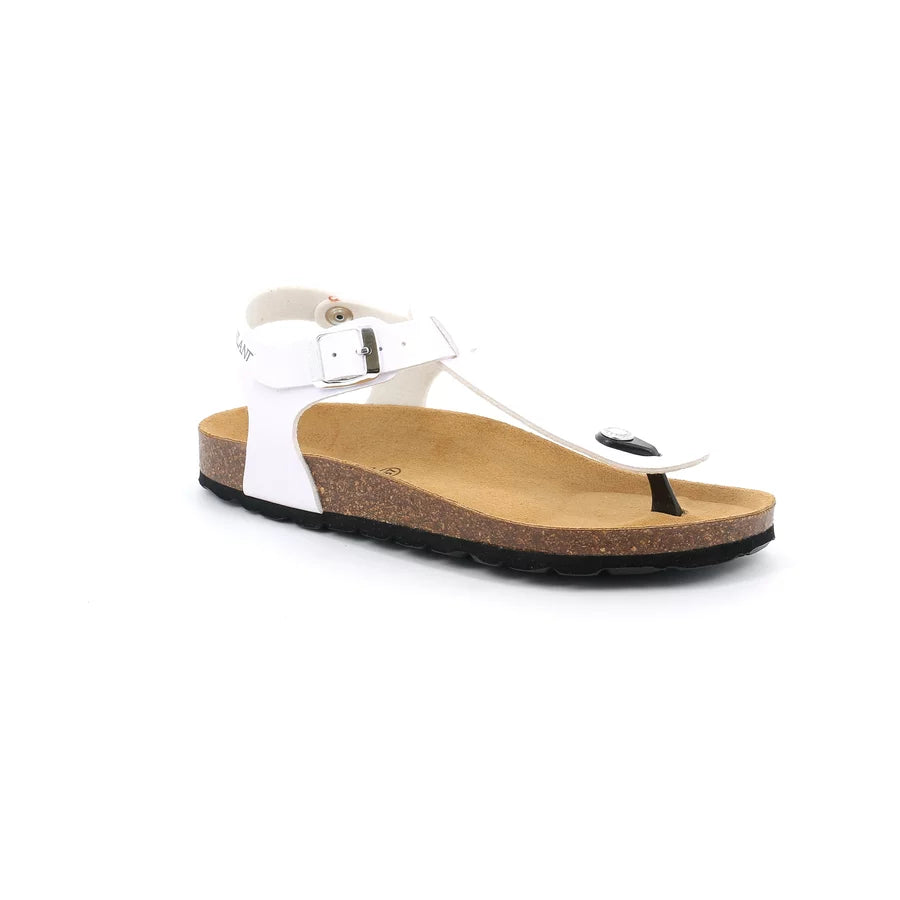 gid://shopify/Product/15711782240588_57337358287180