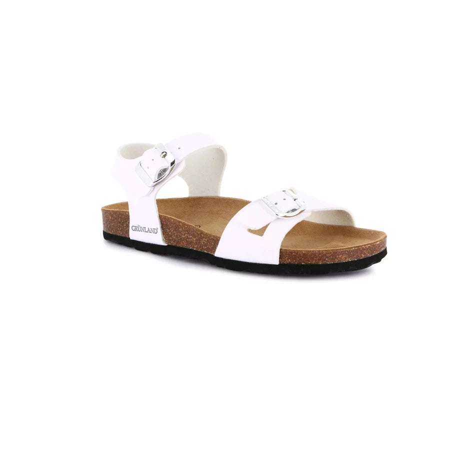gid://shopify/Product/15711786074444_57337378767180