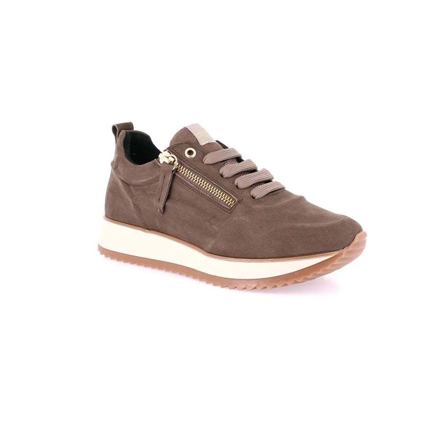 gid://shopify/Product/15712132399436_57339512586572