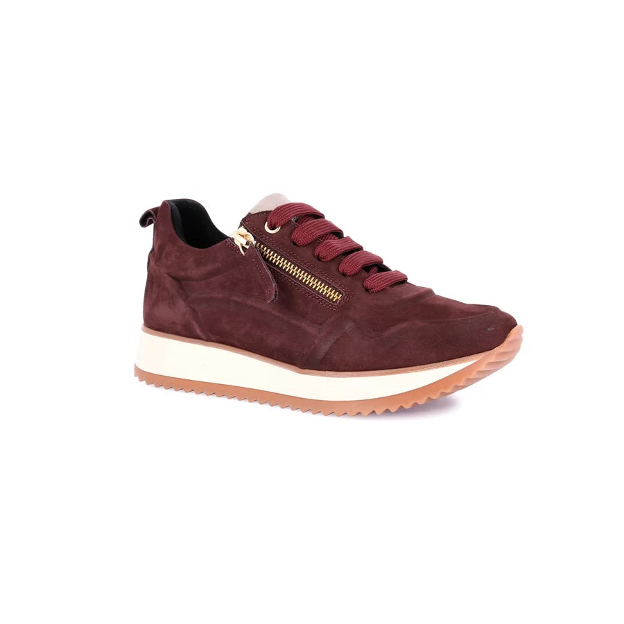 gid://shopify/Product/15712132399436_57339513209164