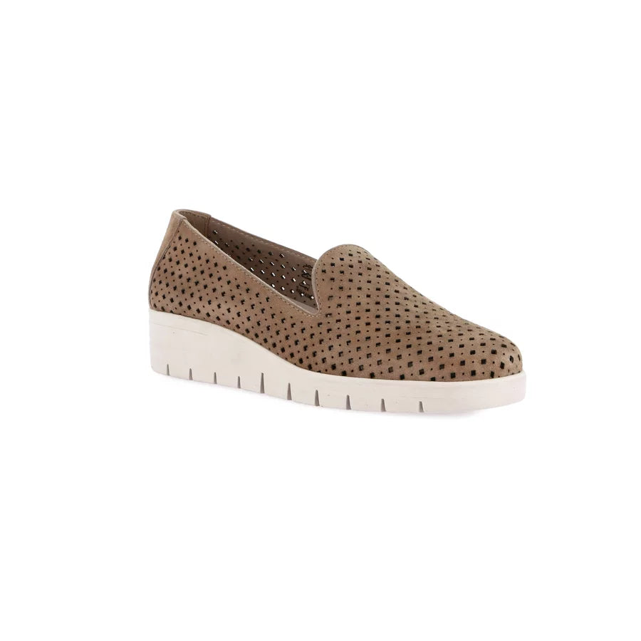 gid://shopify/Product/15712072827212_1