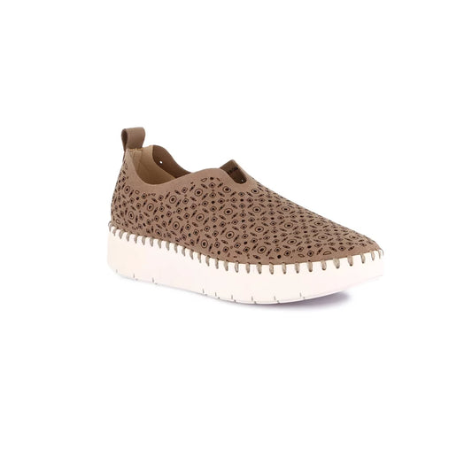gid://shopify/Product/15712975946060_57342167449932