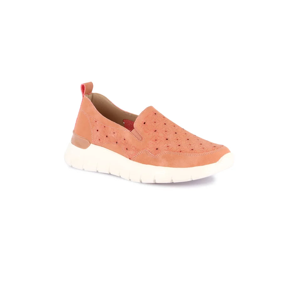 gid://shopify/Product/15797545501004_57719747805516