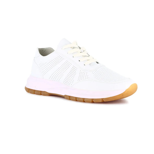 gid://shopify/Product/15712363610444_1