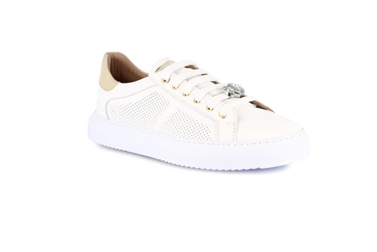 gid://shopify/Product/15755045994828_57521319706956