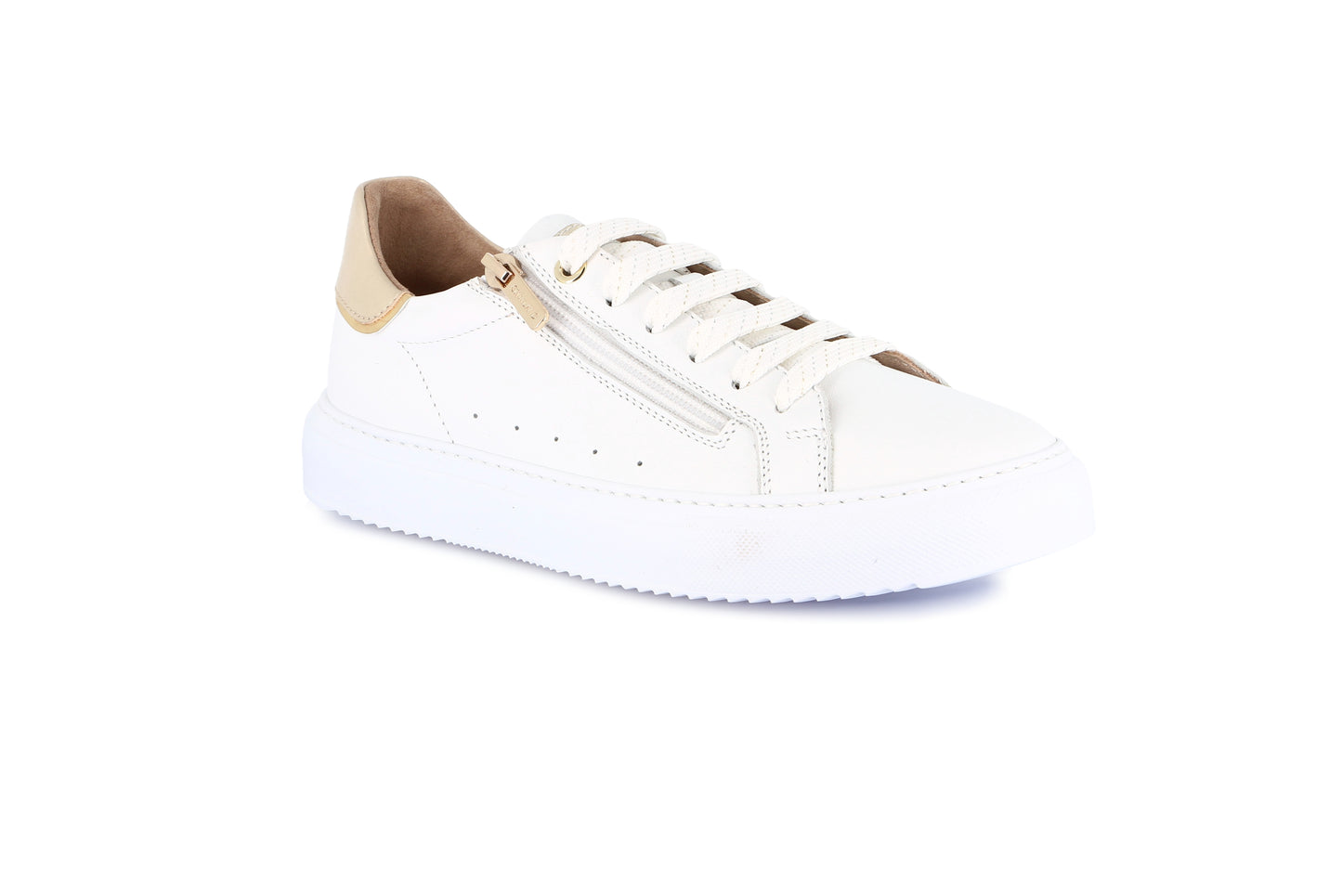 gid://shopify/Product/15754786079052_57719763403084