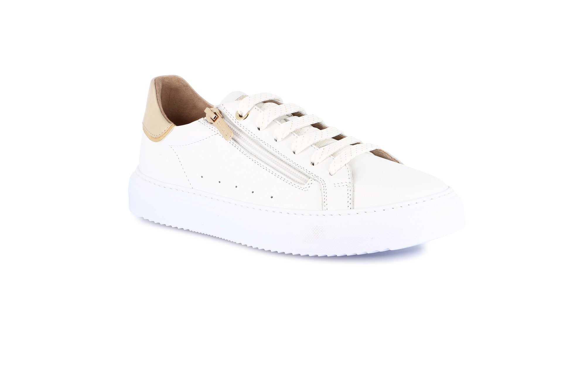 gid://shopify/Product/15754786079052_57719763403084