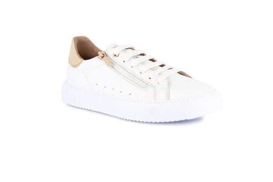 gid://shopify/Product/15754786079052_57719763403084
