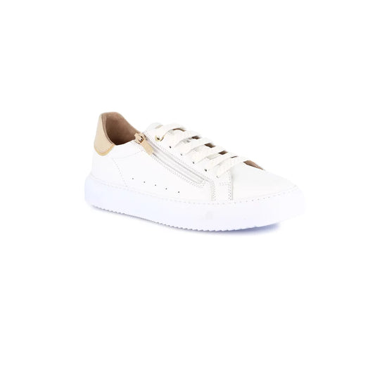 gid://shopify/Product/15754786079052_57520486842700