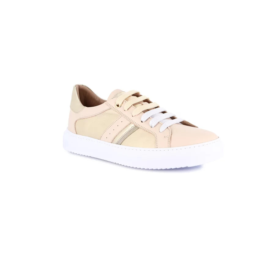 gid://shopify/Product/15713008976204_57342272176460