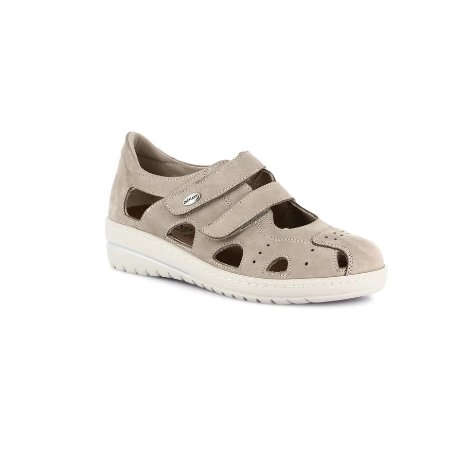 gid://shopify/Product/15713054032204_1