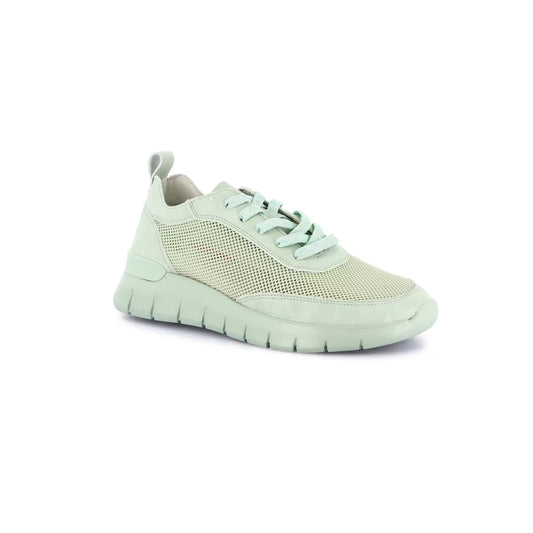 gid://shopify/Product/15754803347788_57520538321228