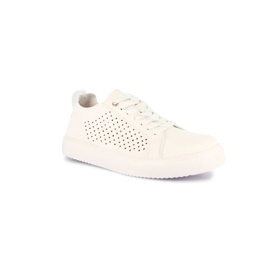gid://shopify/Product/15713066156364_1