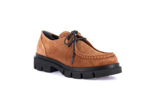 gid://shopify/Product/16231981842764_59550238212428