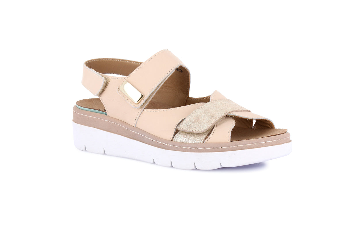 gid://shopify/Product/16104579236172_58817325531468