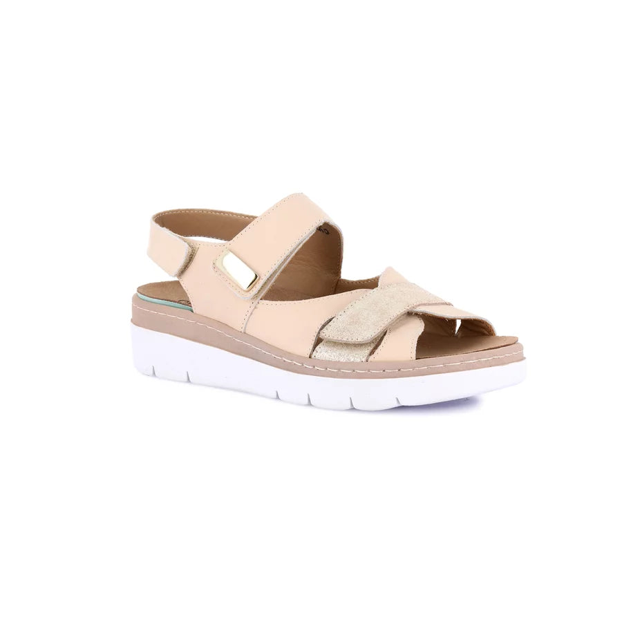 gid://shopify/Product/16104579236172_1