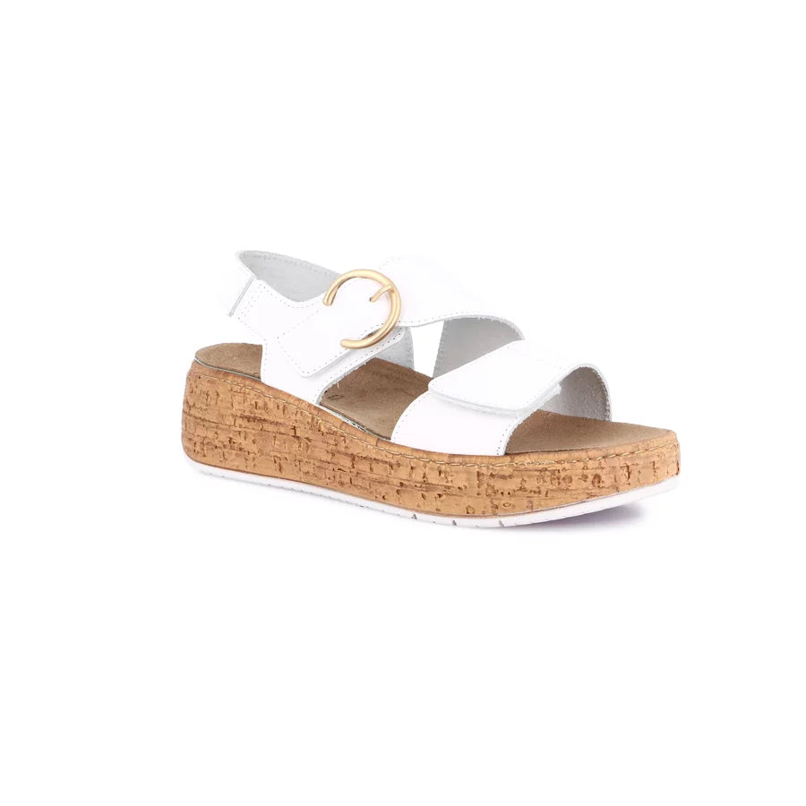 gid://shopify/Product/15712119456076_57339401797964