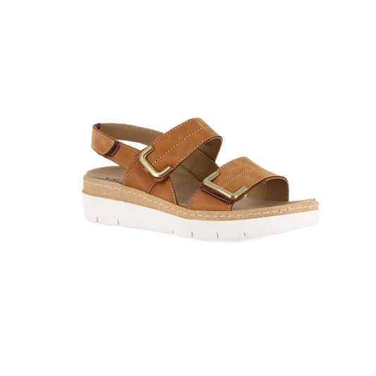 gid://shopify/Product/15753778790732_57518094713164