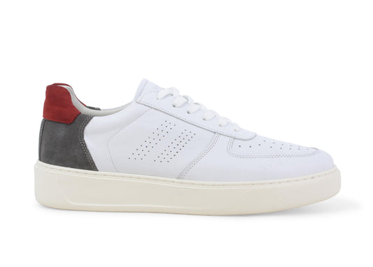 gid://shopify/Product/15685910331724_1