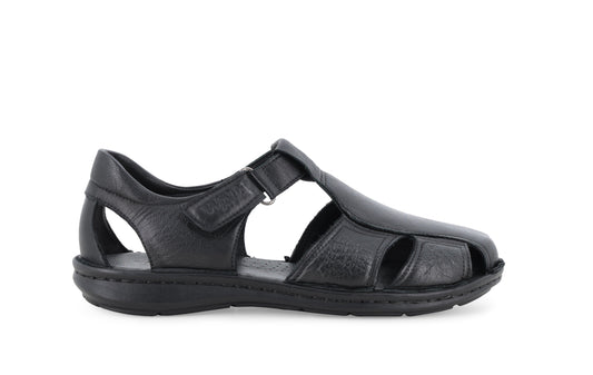 gid://shopify/Product/15761231970636_1
