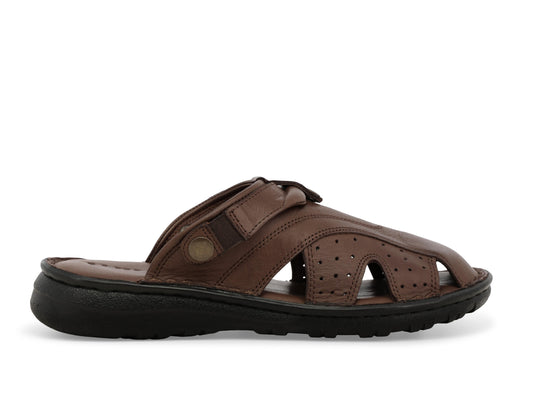 gid://shopify/Product/15761232134476_1