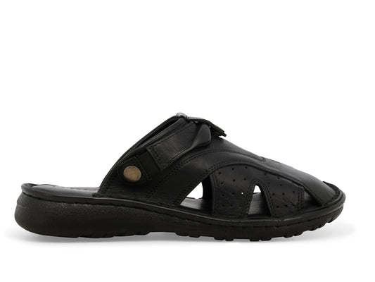 gid://shopify/Product/15761232331084_1