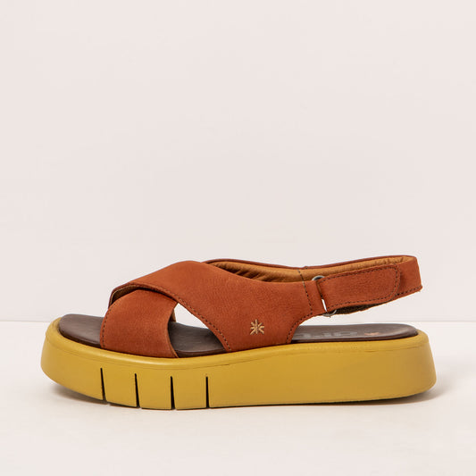 gid://shopify/Product/16172069716300_1