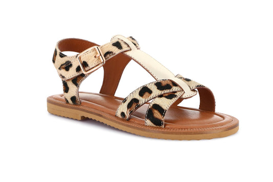 gid://shopify/Product/15713532576076_57345782350156