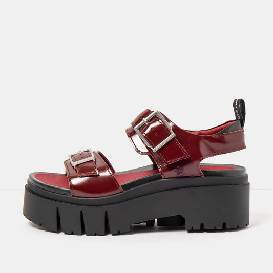 gid://shopify/Product/16173079724364_1