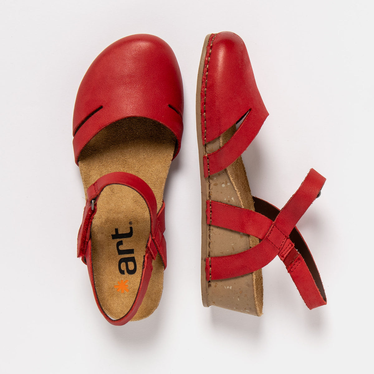 gid://shopify/Product/16173005308236_4