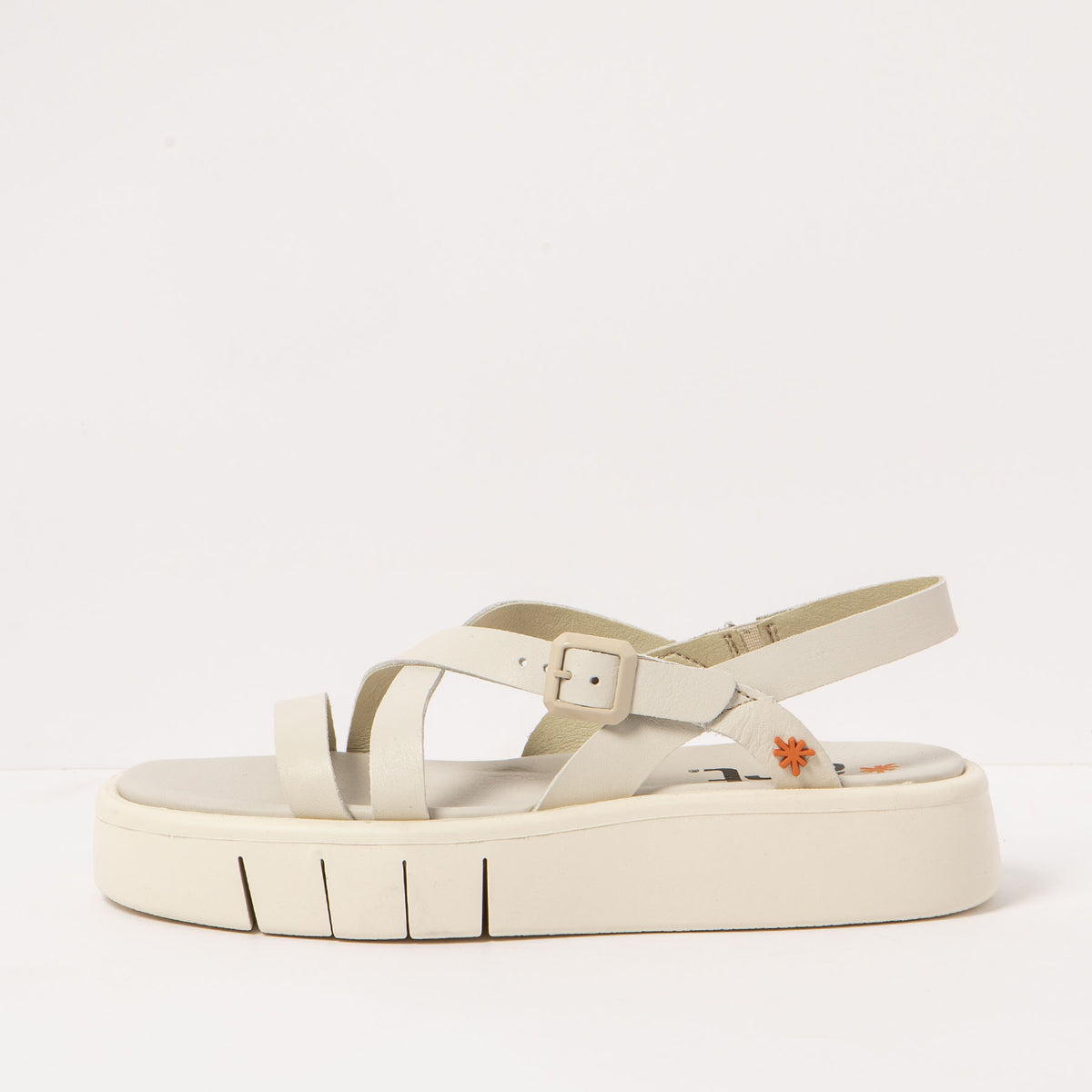 gid://shopify/Product/16171553063244_4