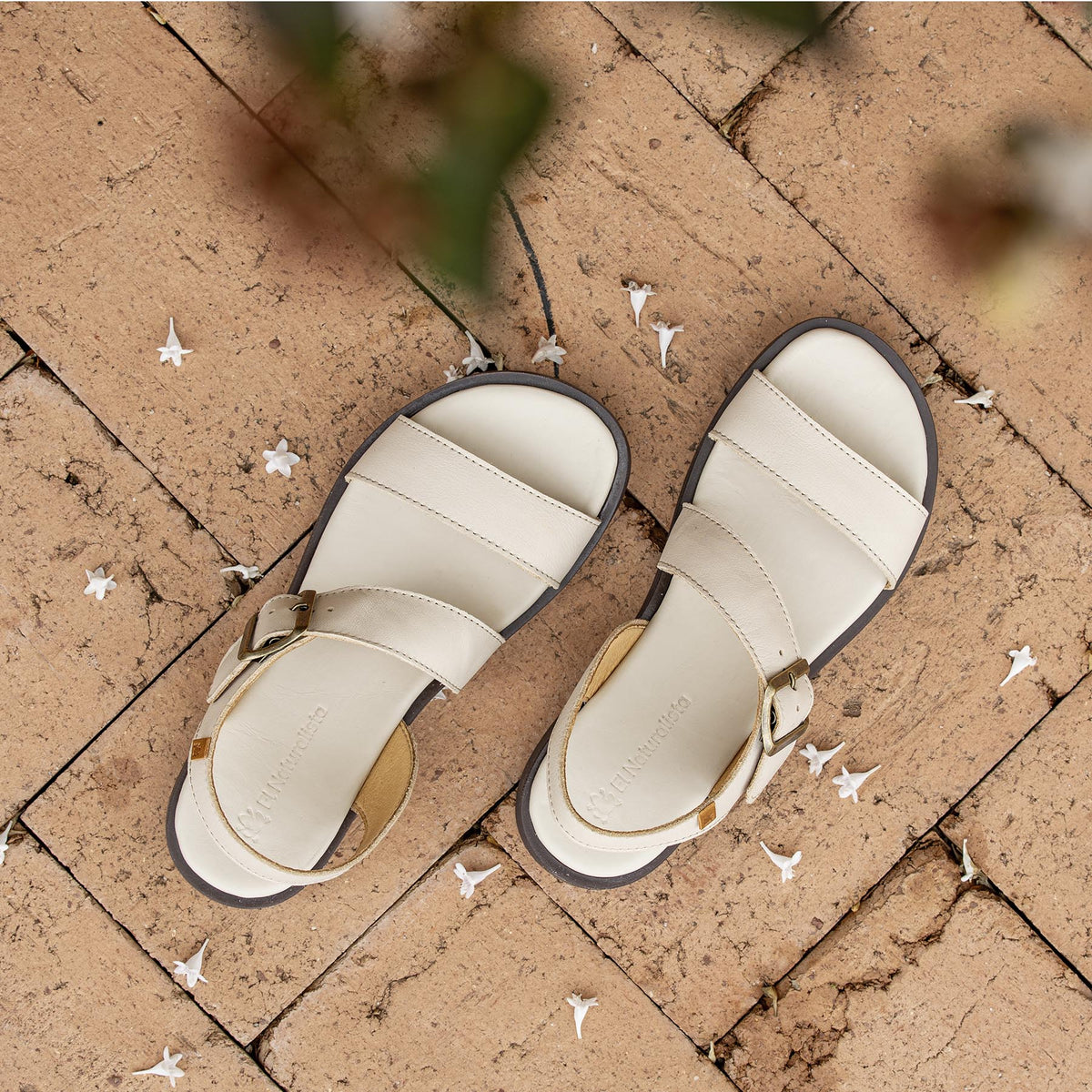 gid://shopify/Product/16124794470732_7