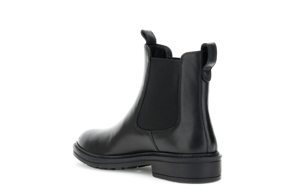 gid://shopify/Product/16122182566220_2